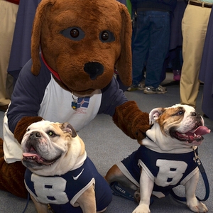 Indianapolis Animal Care & Control (IACC) mascot Maxwell visits with Butler Blue II (left) and mascot-in-training Butler Blue III during a reception at the Church Brothers Collision Repair-sponsored 